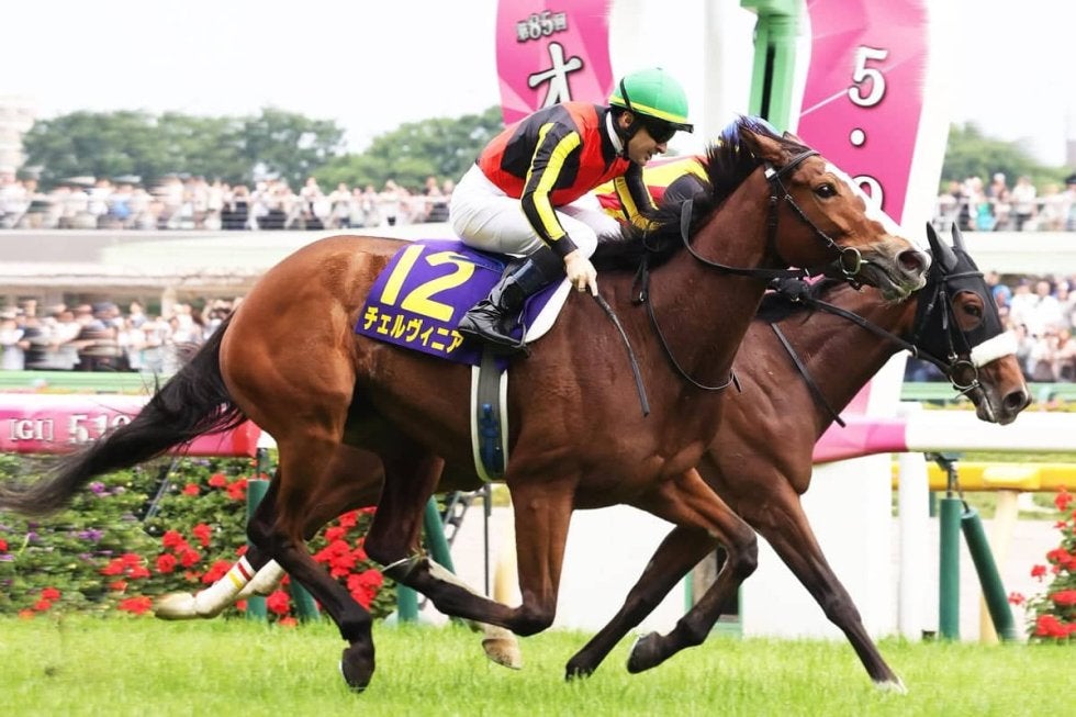 優駿牝馬（オークス）2025特集】「エンブロイダリーvs.アルマ