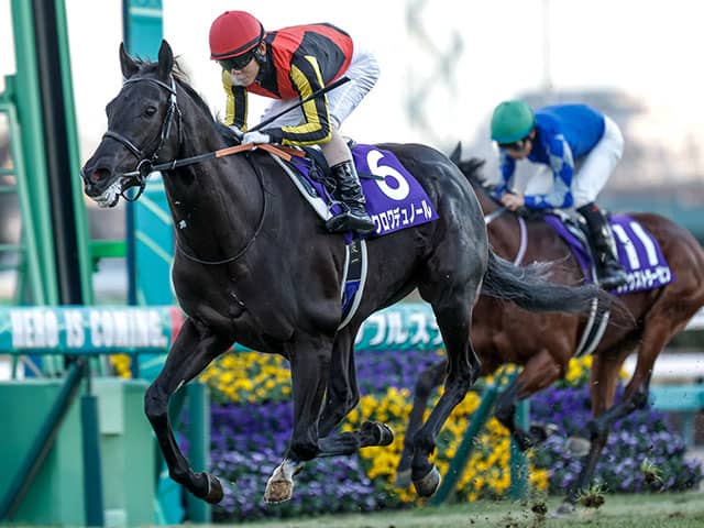 日本ダービー想定騎手】クロワデュノールは北村友一騎手
