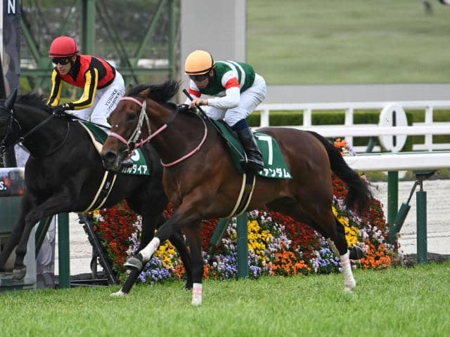 東京優駿(日本ダービー)の過去10年データ、好走馬一覧（2025年6