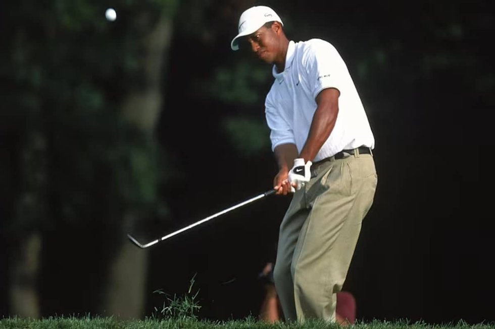 “タイガースラム”をもたらした革新