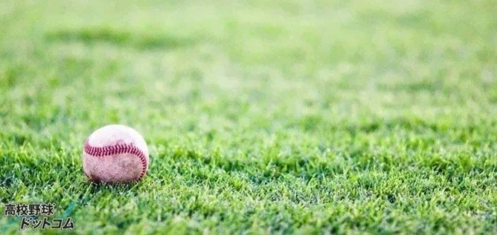 松江商&開星が初戦突破 島根地区大会