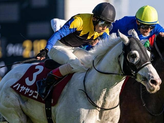 目黒記念 ハヤヤッコが重賞4勝目なるか