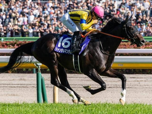 安田記念】川田将雅騎手が現役単独トップの4勝目へ GI・2勝馬の