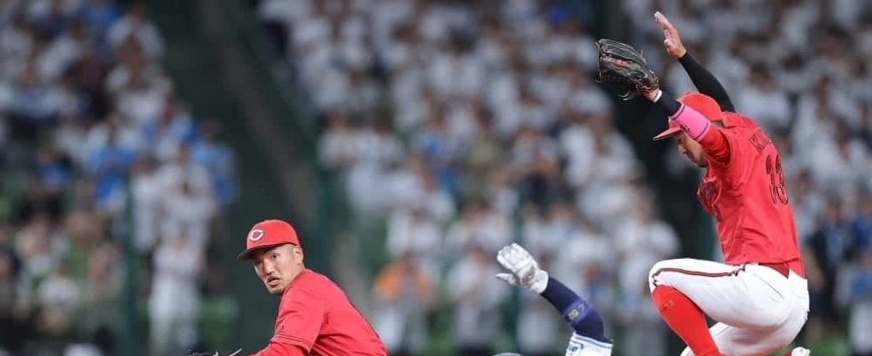 【広島好き】カープが交流戦で戦う埼玉西武ライオンズをいろいろ調べてみた