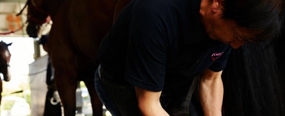 【装蹄師・西内荘コラム】函館への馬移動が本格化、新馬戦シーズンの幕開けも