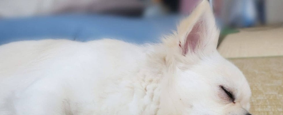 それって梅雨ブルー？雨の日にだるい・眠い・やる気がでない原因＆対処法