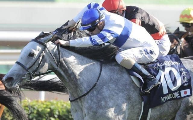 名牝ノームコアの2番仔 ドリームコアがレーン騎手で新馬勝ち狙う