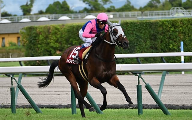 芝・ダートの締めくくり 2つの“春の総決算”を血統的側面から注目馬を探る