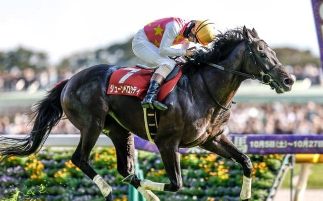 【東京JS予想】ジューンベロシティの3連覇なるか ポイントは14の障害よりも400mの直線勝負