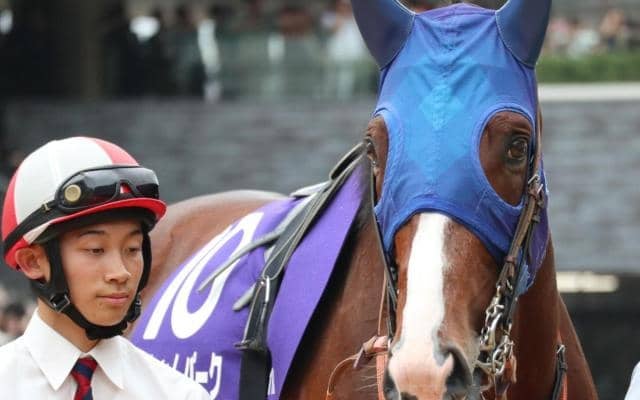 【宝塚記念】エアグルーヴ一族がグランプリ初制覇なるか 曾孫のローシャムパークが参戦