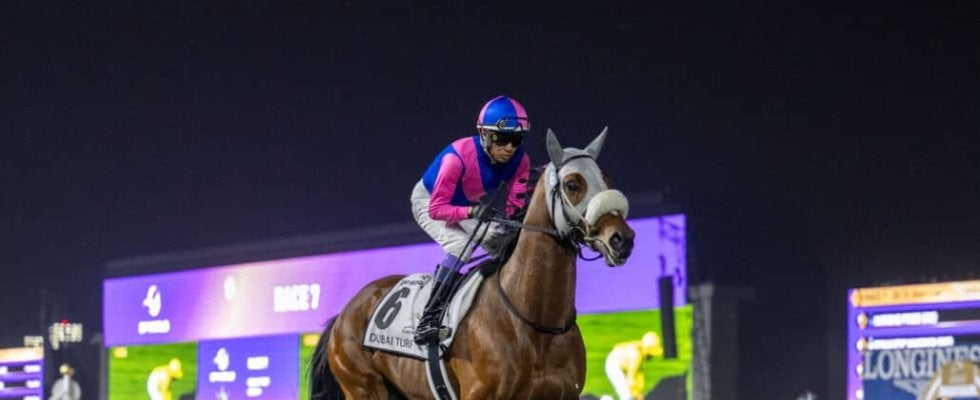 武豊騎手 今週の騎乗馬…宝塚記念はメイショウタバルと参戦