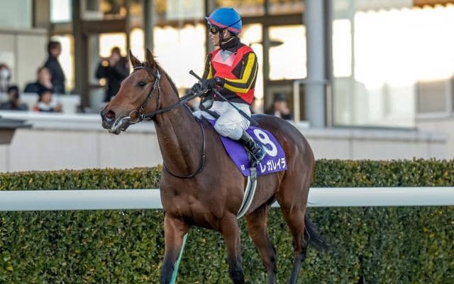 【AI予想・宝塚記念】大外枠は大歓迎！ 春秋グランプリ制覇に人工知能も太鼓判