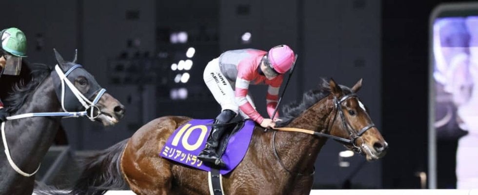 全日本2歳優駿Vのミリアッドラヴが死亡…函館SSで急性心不全を発症