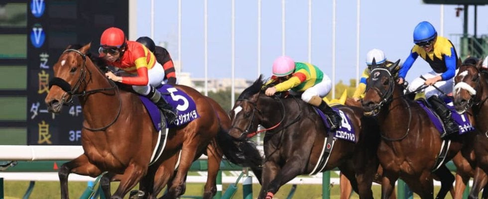 【宝塚記念】ファン投票1位ベラジオオペラは1枠1番…波乱もあり得る混戦模様