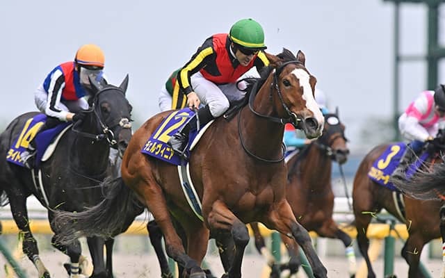 新設重賞・しらさぎSと府中牝馬S/今週の競馬界の見どころ