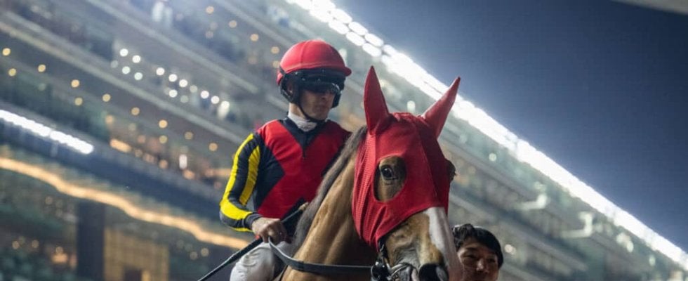 【しらさぎS登録馬】米子Sから昇格の新設重賞…チェルヴィニアなどが登録