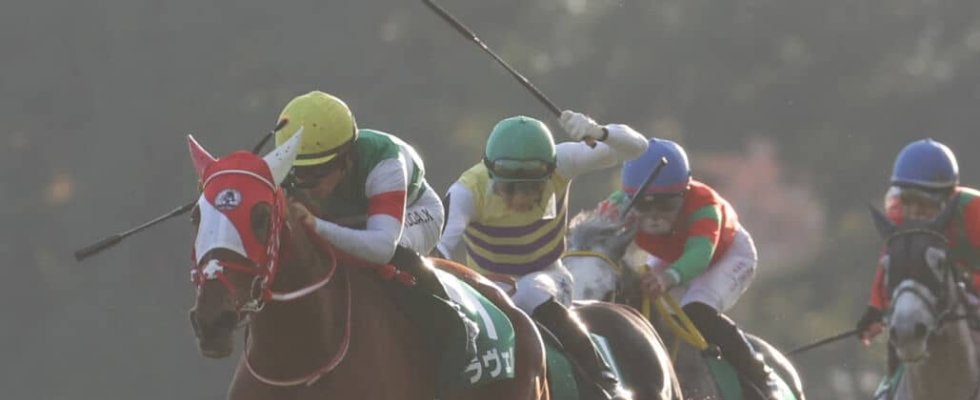 【府中牝馬S登録馬】ラヴェルなど14頭