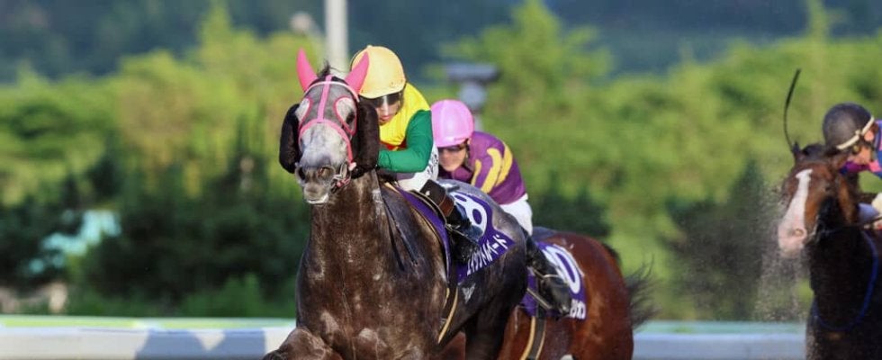 【水沢・早池峰スーパースプリント】エイシントルペードが転入初戦で重賞制覇