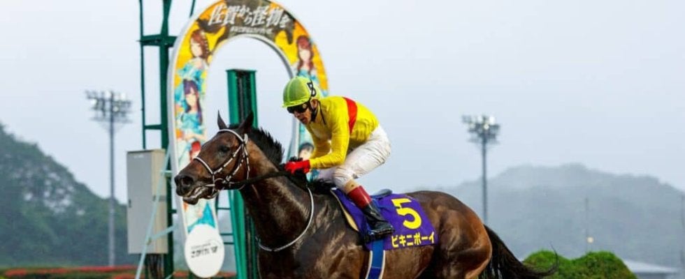 【佐賀王冠賞】ビキニボーイが早め先頭で完勝…5馬身差V