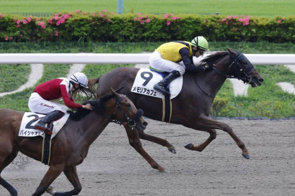 関東オークス メモリアカフェは1枠1番