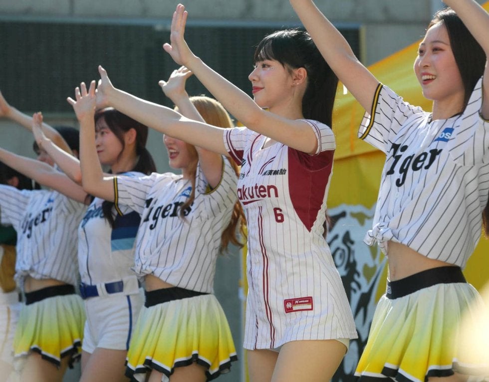 タイガースアカデミー チア 150 （【(TORACOデー2025