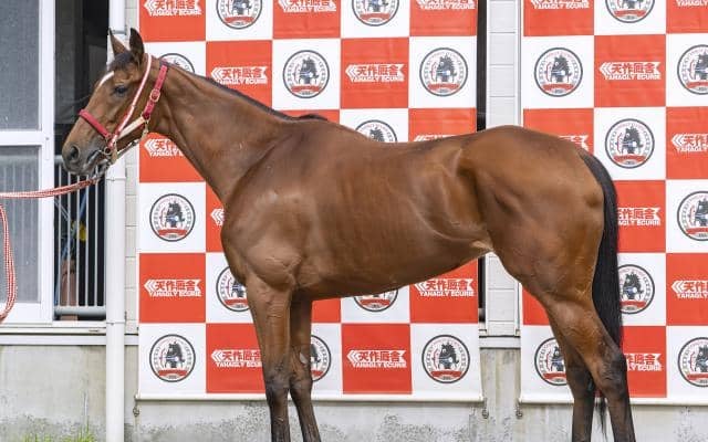 「前走からシルエットが一変」 府中牝馬Sで巻き返し期待の重賞ウイナー