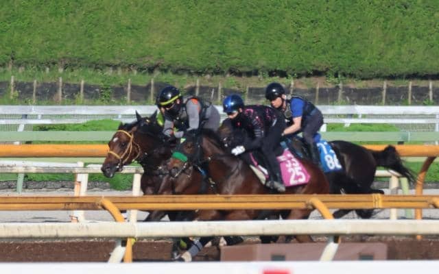 サンライズジパング、帝王賞追い切り速報/栗東トレセンニュース