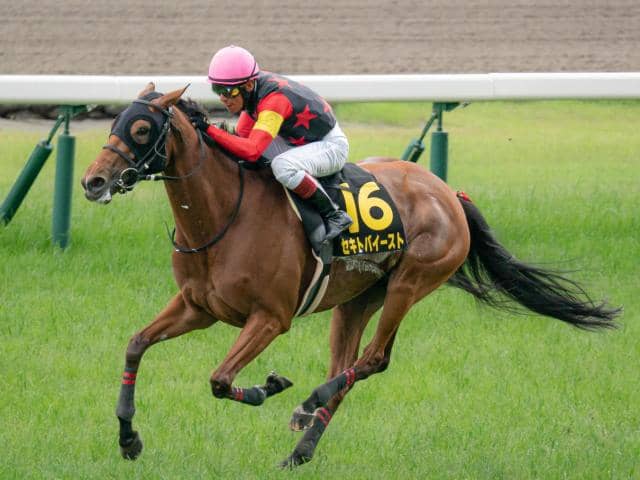 府中牝馬S枠順確定】セキトバイーストは7枠12番、カニキュルは8