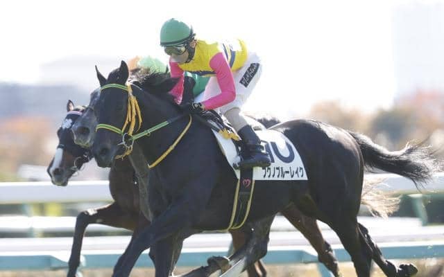【ラジオNIKKEI賞想定馬・騎手】フクノブルーレイク、センツブラッドなど14頭