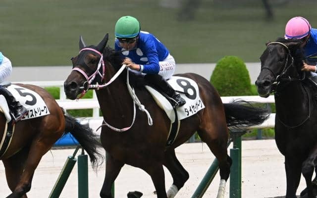 【阪神5R新馬戦結果】タイセイボーグが競り合いを制す インディチャンプ産駒のJRA初勝利