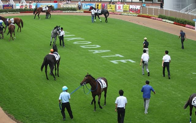 【函館5R新馬戦結果】キタサンブラック産駒ブラックチャリスが3馬身差で快勝