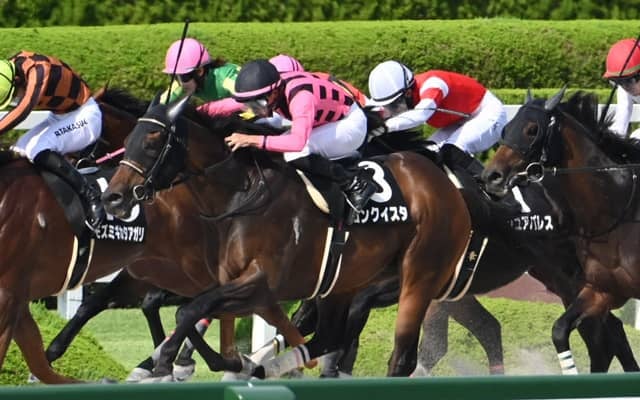 【天保山S結果】コンクイスタが差し切りオープン初勝利
