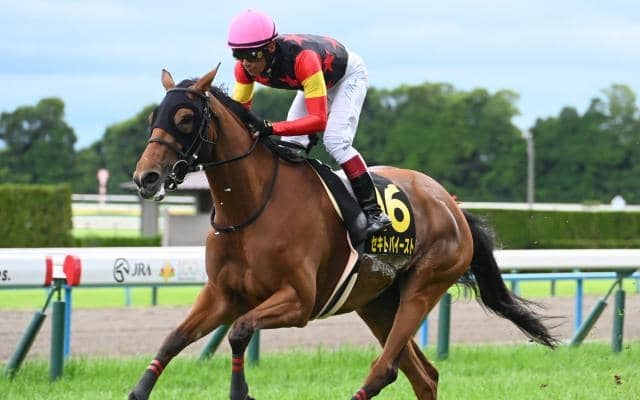 【府中牝馬S予想】前走の走りは鵜呑みにできず!? 血統や馬場状態から軽視したい人気馬とは