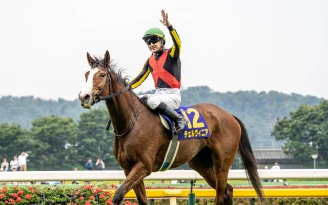 【しらさぎS予想】阪神芝1600mの適性に不安あり!? 近況のリズムもひと息で軽視したい実力馬とは