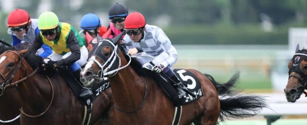 【STV杯】武豊ゴールドサーベルが鮮やかな差し切りV