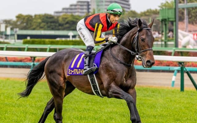 半兄は皐月賞馬のミュージアムマイル フェスティバルヒルが初陣Vなるか