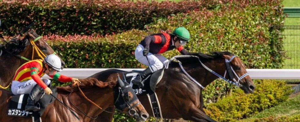 【スレイプニルS】クールミラボーがオープン初勝利
