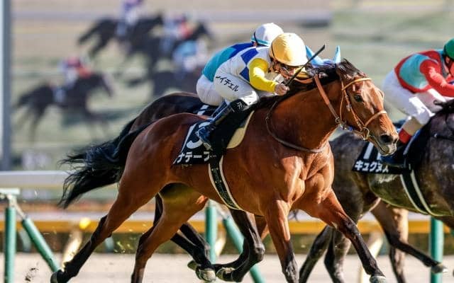 【AI予想・府中牝馬S】前走で重賞級のポテンシャルを証明！ 実績十分の舞台で重賞初制覇を目指す人工知能の本命馬