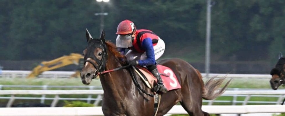 【高知・御畳瀬特別】ユメノホノオが3馬身差で快勝！韓国遠征明けも貫禄の連覇達成