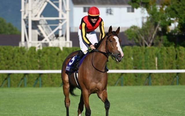 【今日の注目ポイント】府中牝馬Sと阪神で新設重賞・しらさぎS