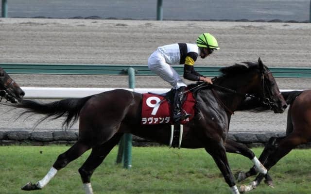 【府中牝馬S予想】マーメイドSを引継いだ新たな「府中牝馬S」 東京芝1800mはスローペースからの瞬発力勝負になりやすい舞台