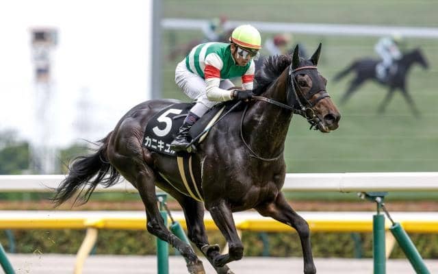【府中牝馬S予想】開催条件替わって傾向をどう考える？ 過去データから探るGIII府中牝馬S