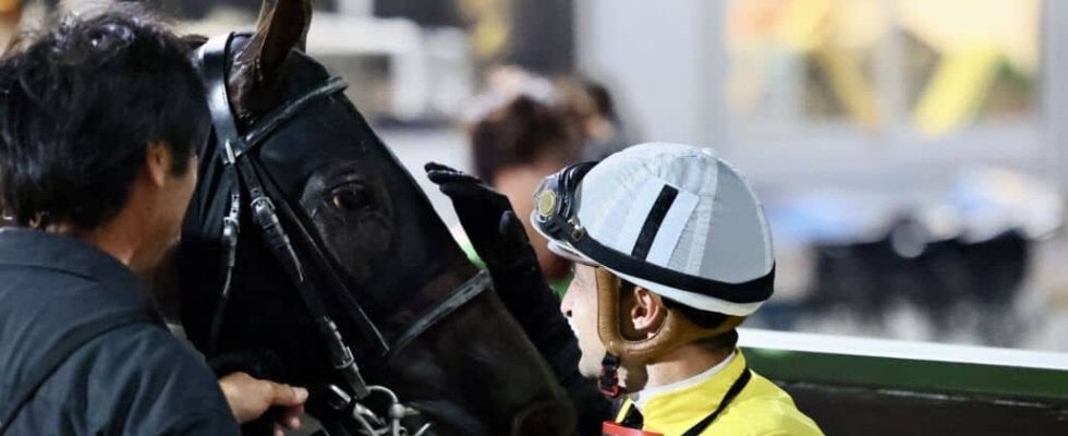 【関東オークス】ルメール「僕はただのパッセンジャー」メモリアカフェが交流重賞初制覇