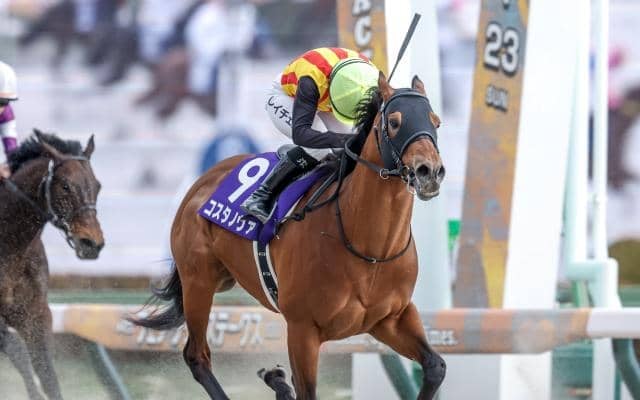 【浦和・さきたま杯枠順】JpnI・3勝目狙うシャマルは2枠2番、フェブラリーS覇者コスタノヴァは3枠3番