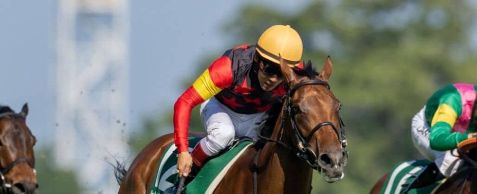 【府中牝馬S】浜中「精神力で走り切ってくれた」セキトバイーストが混戦から抜け出す