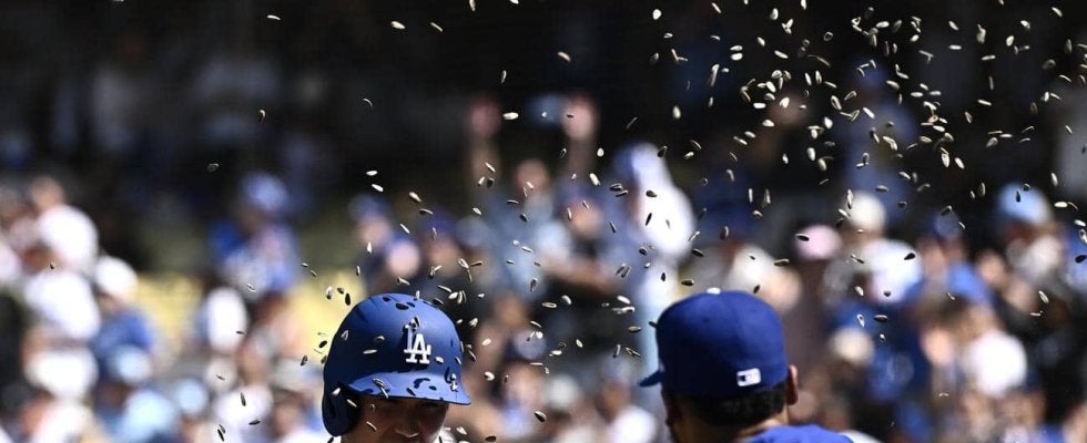 大谷翔平のホームランボール、ファンが捕球できず…ボールは外野を転々として少年号泣