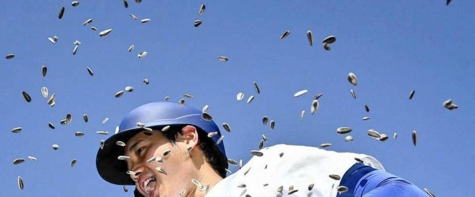 大谷翔平　投打同時出場は打に好影響　２試合で打率・５００、１本塁打、７打点　二刀流は「うれしい」不振脱却のきっかけに