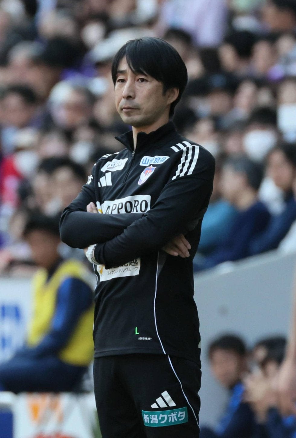 新潟・樹森監督が退任 後任は入江コーチ