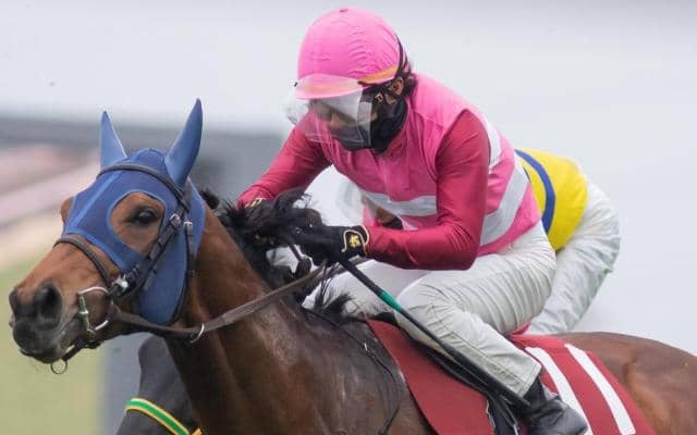 【ラジオNIKKEI賞】先週3勝と大爆発 高橋一哉調教師がスナークピカソで重賞初制覇なるか