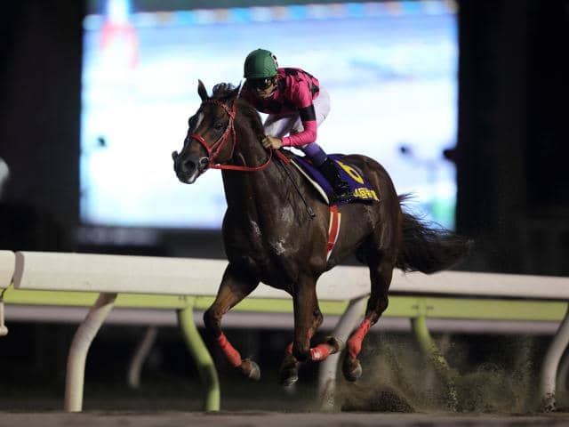 【スマートファルコン】JBCクラシック・帝王賞・川崎記念(現地的中馬券セット) 快足スマートファルコンの「9馬身差V」「2分1秒1」が燦然と輝く
